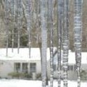 THE REAL REASON ICE DAMS AND ICICLES FORM