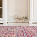 10 WAYS TO PREVENT MOLD GROWTH
