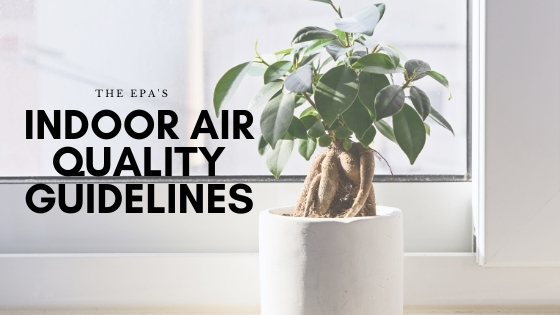The EPA’s Indoor Air Quality Guidelines